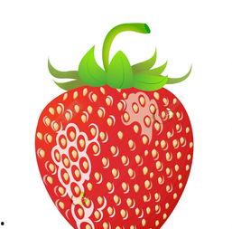 草莓 视频,探寻甜蜜果实背后的故事