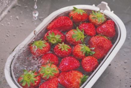 草莓 视频,探寻甜蜜果实背后的故事