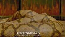 蛇女视频,揭秘视频中的神秘诱惑与独特魅力