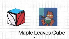 庄海燕魔方教程视频,轻松掌握魔方解法全攻略