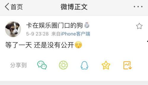 互娱社区吃瓜爆料,娱乐圈幕后真相大揭秘