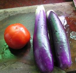 茄子视频网,探索短视频新天地，畅享精彩瞬间