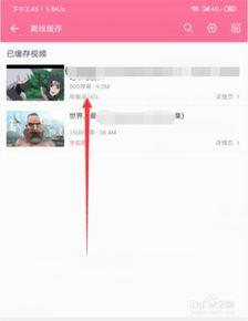 怎样下载b站的视频,B站视频下载全攻略