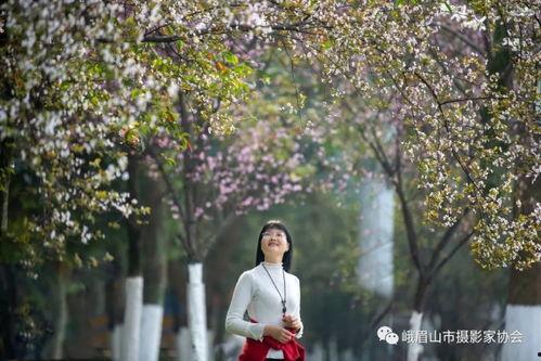 春潮烂漫海棠红视频