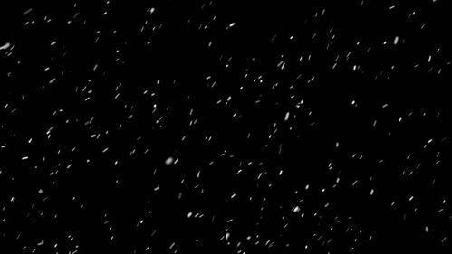 下雪视频下载,下雪视频下载精选集