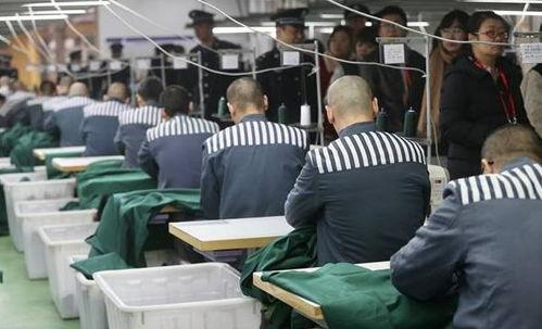 北镇监狱犯人生活视频,犯人日常纪实