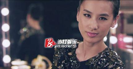 黄圣依不雅视频,真相与争议