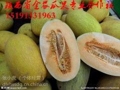 嘉兴哈密瓜价格今日行情,价格行情一览