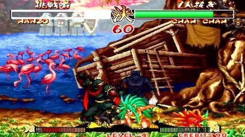 侍魂2对战视频,经典对决，重温热血激战