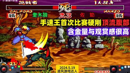 侍魂2对战视频,经典对决，重温热血激战