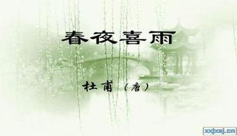 春夜喜雨动作视频,诗意盎然的雨中舞蹈瞬间