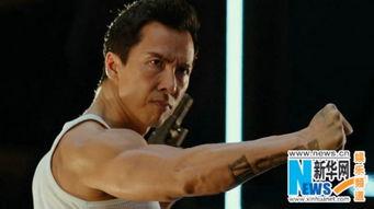 甄子丹视频,硬汉柔情，动作电影巅峰之作