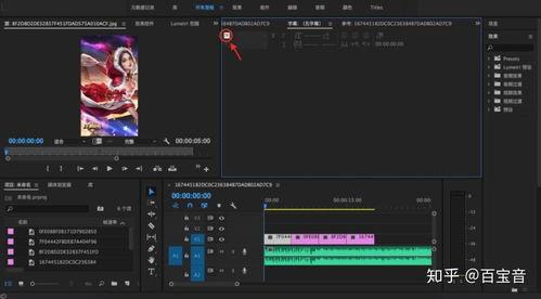 视频配音制作,声音塑造视觉故事的艺术之旅