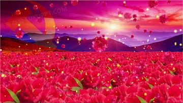 舞蹈视频背景素材,探索舞蹈视频背后的视觉魅力