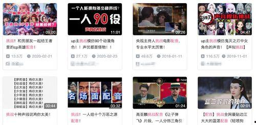 配音的视频,揭秘配音视频背后的魅力世界