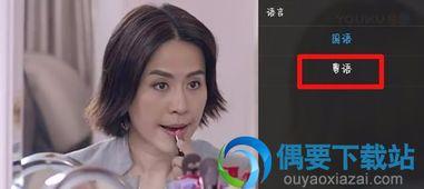 国语视频,一窥语言魅力与文化传承