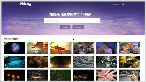 视频素材站,视频素材站精选集锦