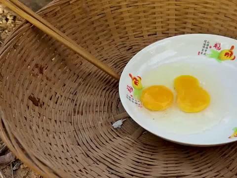 土鸡蛋土鸡蛋视频,探寻传统养殖与现代营养的完美融合