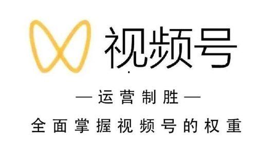 91av视频网,揭秘热门视频网站的精彩内容与观看技巧