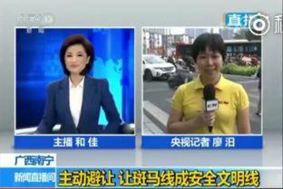 中央电视频道13台直播,精彩纷呈，不容错过